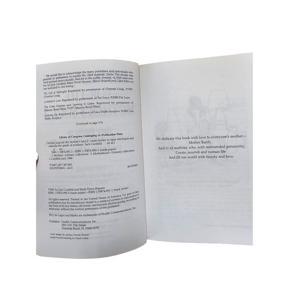 Chicken Soup For The Mothers Soul 2 Paperback Book - Picture 2 of 4